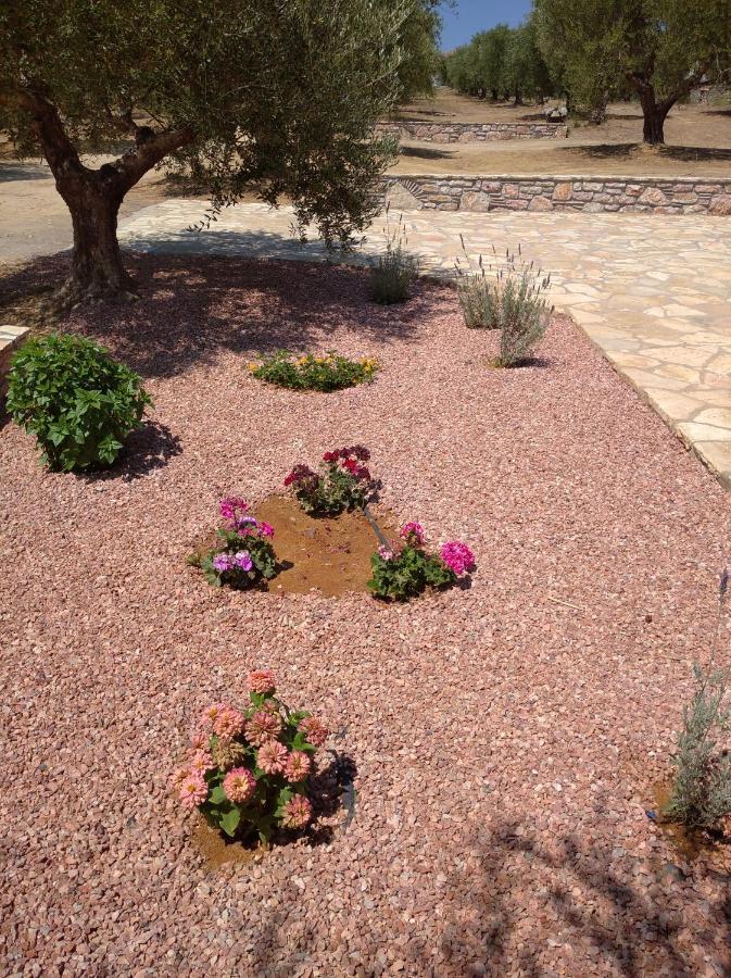 Ferienhaus Aggeliki House 5